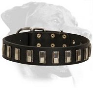 Well-designed Leather Collar for Rottweiler