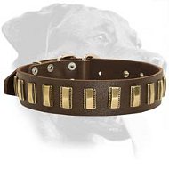 Beautiful Leather Collar with brass plates for Rottweiler