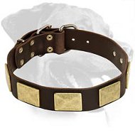 Royal Leather Rottweiler Collar with Vintage Massive Plates