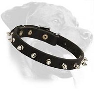 Spiked Leather Collar for Rottweiler