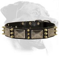 War Spiked Leather Collar for Rottweiler