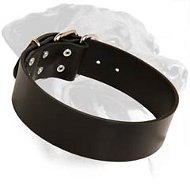 Extra Wide Leather Collar for Rottweiler