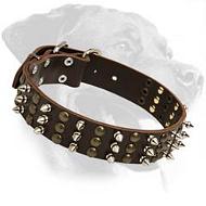 Fabulous Studded and Spiked Leather Collar for Rottweiler