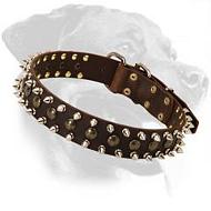 Royal Leather Collar with studs and spikes for Rottweiler
