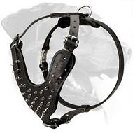 Deluxe Spiked Leather Harness for Rottweiler