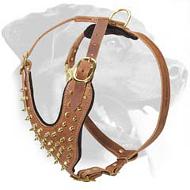 Designer Leather Rottweiler Harness with Brass Spikes for Daily Dog Walking