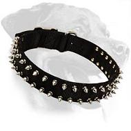 Black Nylon Spiked Collar for Rottweiler