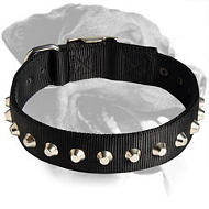 Wide Nylon Collar with Pyramids for Rottweiler