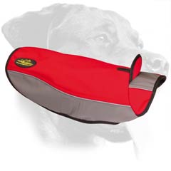 Stylish Winter Walking Dog Coat for Rottweiler Breed