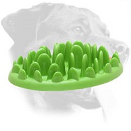 Green Lawn Small Plastic Rottweiler Feeder Green Lawn Small Plastic Rottweiler Feeder