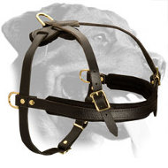 Strong Leather Rottweiler Harness for Training, Pulling and Walking Strong Leather Rottweiler Harness for Training, Pulling and Walking