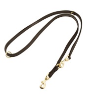 Multifunctional I-Grip Nylon Leash for Rottweiler