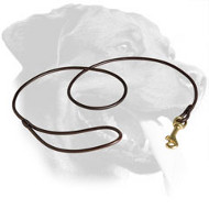 Outstanding Leather Rottweiler Leash for Dog Shows Outstanding Leather Rottweiler Leash for Dog Shows