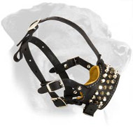Sensational Leather Muzzle with Studs for Rottweiler