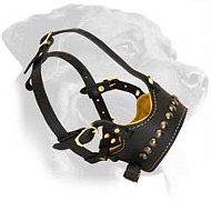 Royal Leather Muzzle with brass decoration for Rottweiler