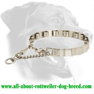 Stainless Steel Rottweiler Neck Tech Pinch Collar for Behavior Correction Stainless Steel Rottweiler Neck Tech Pinch Collar for Behavior Correction