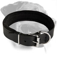 Amazing Padded Leather Collar for Rottweiler