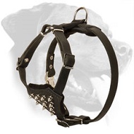 Stylish Spiked Leather Rottweiler Harness for Puppy Walking