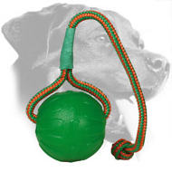 Water Floating Rottweiler Retrieve Ball Made of Durafoam Water Floating Rottweiler Retrieve Ball Made of Durafoam