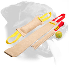 Puppy Training Set of Rottweiler Bite Tugs with a Special Gift