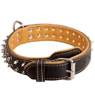 Sophisticated Rottweiler Spiked Leather Collar with Soft Padding