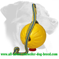'High Fly' Rottweiler Foam Ball for Retrieve Training (Large) 'High Fly' Rottweiler Foam Ball for Retrieve Training (Large)
