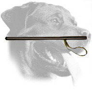 Rottweiler Stick for Agitation Training Rottweiler Stick for Agitation Training