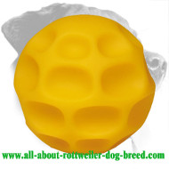 Rottweiler Tetraflex Treat Dispensing Ball (Small) Rottweiler Tetraflex Treat Dispensing Ball (Small)