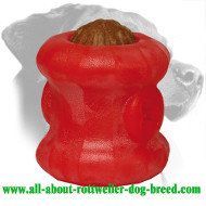 Durafoam Rottweiler Everlasting Treat Holder (Large) Durafoam Rottweiler Everlasting Treat Holder (Large)