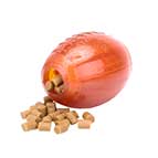 Rubber Rottweiler Treat Dispenser for Fast Eating Dogs (Large) Rubber Rottweiler Treat Dispenser for Fast Eating Dogs (Large)