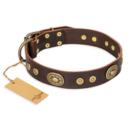 'One-of-a-Kind' FDT Artisan Brown Leather Dog Collar with Decorations