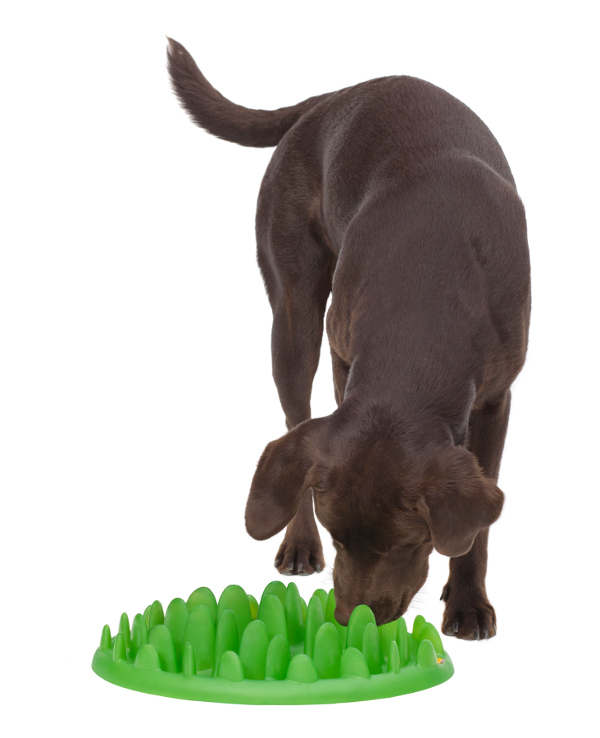 Green Lawn Small Plastic Rottweiler Feeder [KA161075 Interactive Slow
