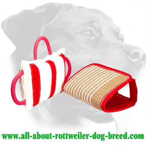 Rottweiler Bite Pad with Removable Jute Cover