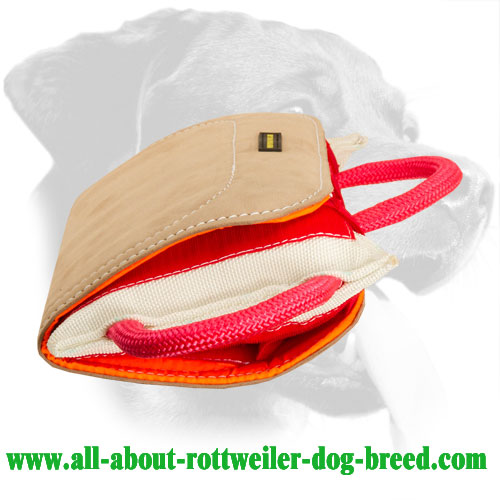 Rottweiler Bite Pad with Removable Leather Cover