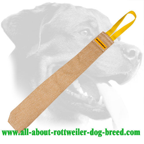 Rottweiler Bite Rag Made of Jute with Properly Stitched Edges