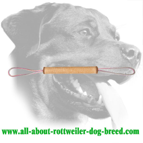 Rottweiler Bite Roll Made of Jute with Long Handles