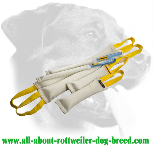 Rottweiler Bite Set Made of Fire Hose with Hypoallergenic Filling