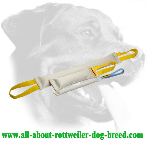 Fire Hose Rottweiler Bite Set Equipped with Long Handles