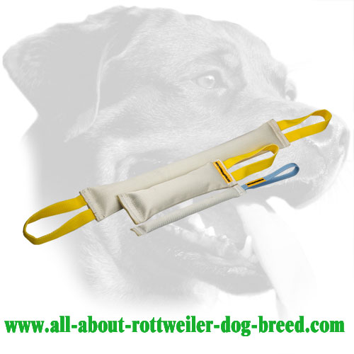 Properly Stuffed Fire Hose Rottweiler Bite Set