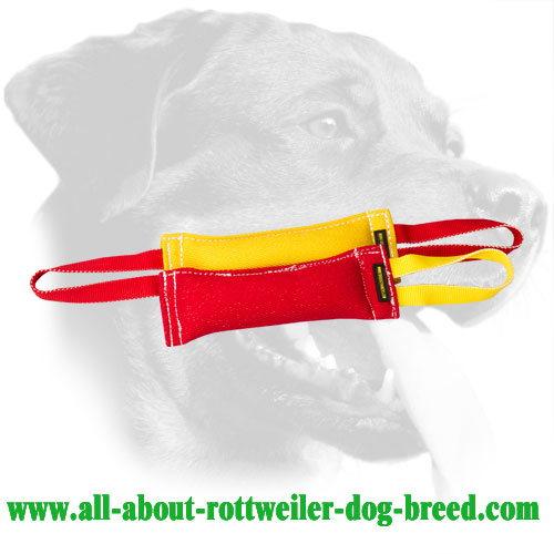 French Linen Rottweiler Bite Set Equipped with Durable Handles