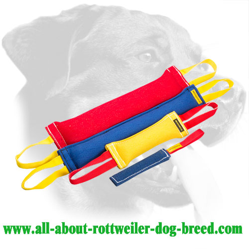 French Linen Rottweiler Bite Set Stuffed with Hypoallergenic Filling