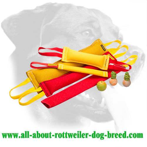 French Linen Rottweiler Bite Set Equipped with Safety Handles