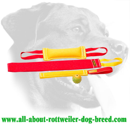 French Linen Rottweiler Bite Set Equipped with Stitched Handles