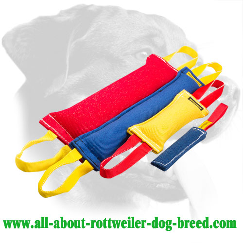 French Linen Rottweiler Bite Set Equipped with Stitched Handles