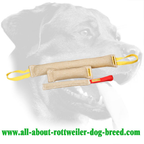 Rottweiler Bite Set Made of Jute with Firm Stuffing