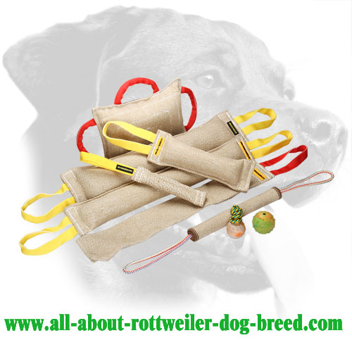 Heavy Stuffed Jute Rottweiler Bite Set