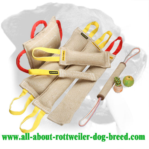 Rottweiler Retrieve Training Bite Set Made of Jute