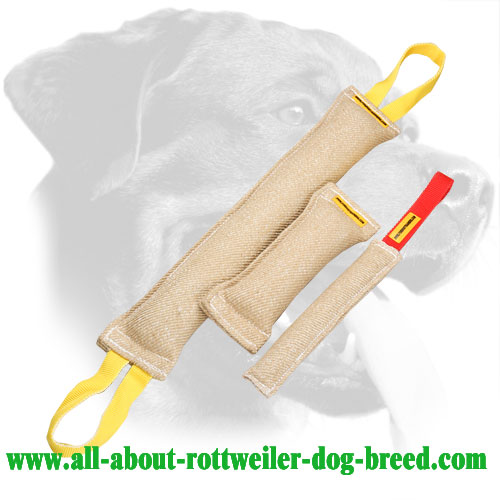 Jute Rottweiler Bite Set Equipped with Stitched Handles