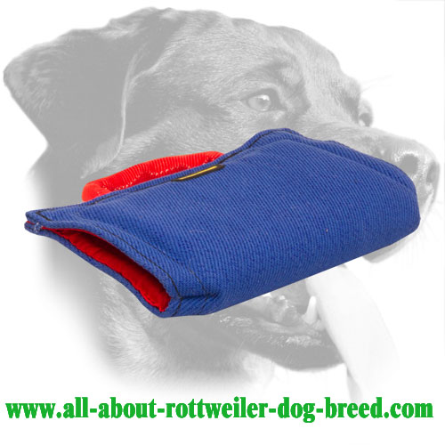 Rottweiler Bite Sleeve Made of French Linen with Soft Filling