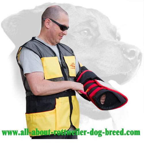 Rottweiler Bite Sleeve Equipped with Replaceable Cover